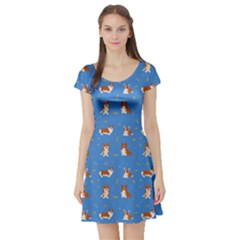 Cute Corgi Dogs Short Sleeve Skater Dress by SychEva