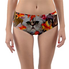 Aquarium Life Cropped Reversible Mid-waist Bikini Bottoms by impacteesstreetwearcollage