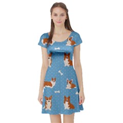 Cute Corgi Dogs Short Sleeve Skater Dress by SychEva