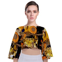 Before The Easter-1-4 Tie Back Butterfly Sleeve Chiffon Top