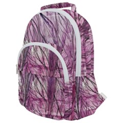 Burgundy Edit Rounded Multi Pocket Backpack