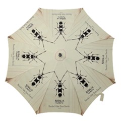 Img016 Hook Handle Umbrellas (large)