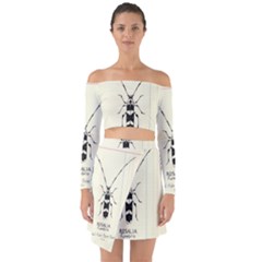 Banded Alder Borer  Off Shoulder Top with Skirt Set