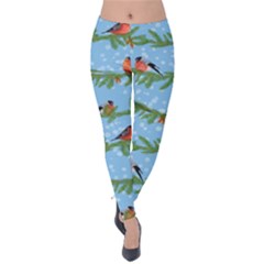 Bullfinches On Spruce Branches Velvet Leggings by SychEva