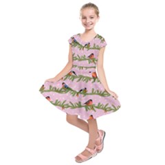 Bullfinches Sit On Branches On A Pink Background Kids  Short Sleeve Dress by SychEva