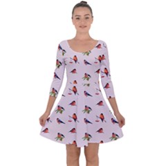 Bullfinches Sit On Branches Quarter Sleeve Skater Dress by SychEva