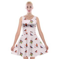 Bullfinches Sit On Branches Velvet Skater Dress by SychEva