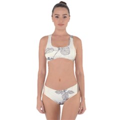 Lemon Balm Criss Cross Bikini Set by Limerence