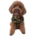 camo Dog Sweater View1