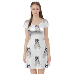 Cute Husky Puppies Short Sleeve Skater Dress by SychEva