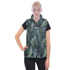 The Agave Heart Under The Light Women s Button Up Vest by DimitriosArt