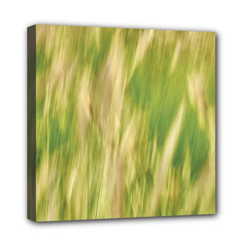 Golden Grass Abstract Mini Canvas 8  X 8  (stretched) by DimitriosArt