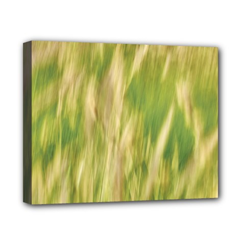 Golden Grass Abstract Canvas 10  X 8  (stretched) by DimitriosArt