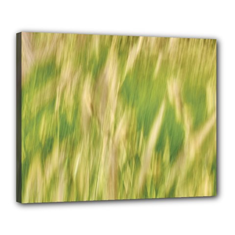 Golden Grass Abstract Canvas 20  X 16  (stretched) by DimitriosArt