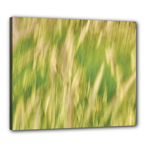 Golden Grass Abstract Canvas 24  X 20  (stretched) by DimitriosArt
