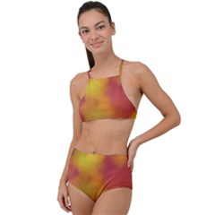 Flower Abstract High Waist Tankini Set by DimitriosArt