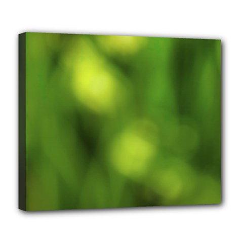 Green Vibrant Abstract No3 Deluxe Canvas 24  X 20  (stretched) by DimitriosArt