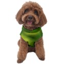 Green Vibrant Abstract No3 Dog Sweater View1