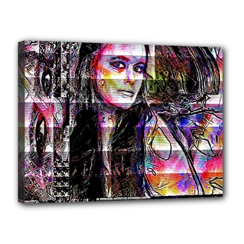 Hungry Eyes Ii Canvas 16  X 12  (stretched) by MRNStudios