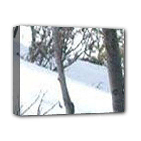 Winter Forest Deluxe Canvas 14  X 11  (stretched) by SomethingForEveryone