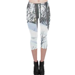 Winter Forest Capri Leggings  by SomethingForEveryone