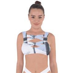 Winter Forest Bandaged Up Bikini Top by SomethingForEveryone