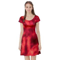 Cadmium Red Abstract Stars Short Sleeve Skater Dress