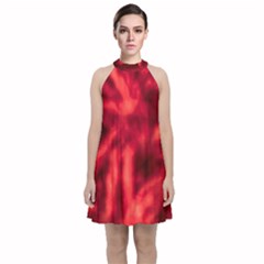 Cadmium Red Abstract Stars Velvet Halter Neckline Dress 