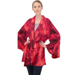 Cadmium Red Abstract Stars Long Sleeve Velvet Kimono  by DimitriosArt