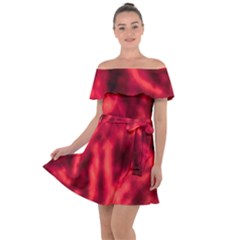 Cadmium Red Abstract Stars Off Shoulder Velour Dress