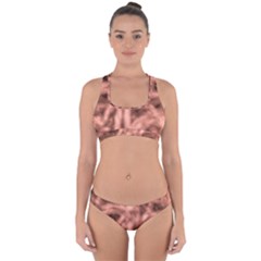 Rose Abstract Stars Cross Back Hipster Bikini Set