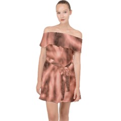 Rose Abstract Stars Off Shoulder Chiffon Dress by DimitriosArt