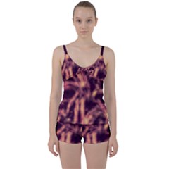 Topaz  Abstract Stars Tie Front Two Piece Tankini