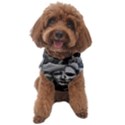 Bw Creepy Fantasy Scene Artwork Dog Sweater View1