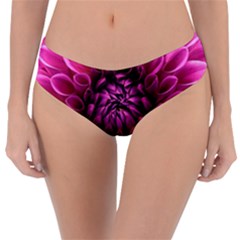 Dahlia-flower-purple-dahlia-petals Reversible Classic Bikini Bottoms