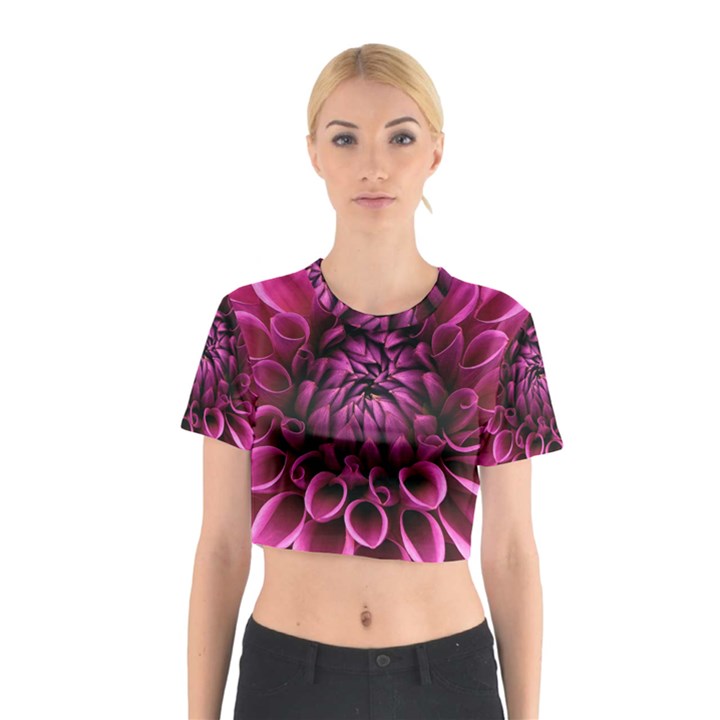 Dahlia-flower-purple-dahlia-petals Cotton Crop Top