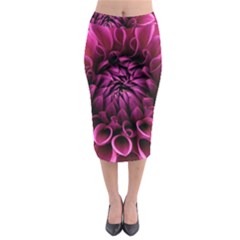 Dahlia-flower-purple-dahlia-petals Midi Pencil Skirt