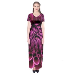 Dahlia-flower-purple-dahlia-petals Short Sleeve Maxi Dress by Sapixe