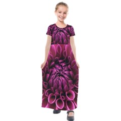 Dahlia-flower-purple-dahlia-petals Kids  Short Sleeve Maxi Dress by Sapixe