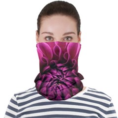 Dahlia-flower-purple-dahlia-petals Face Seamless Bandana (adult)