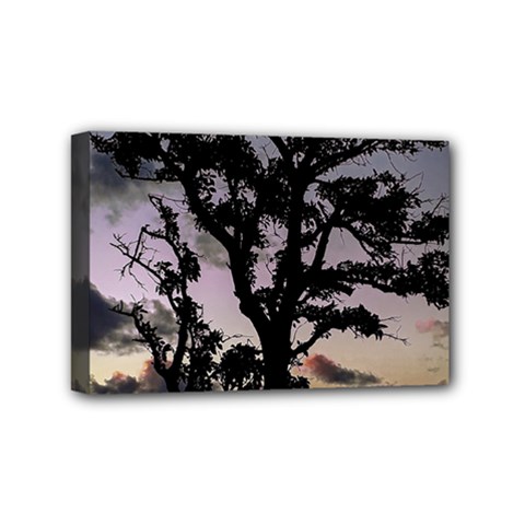 Sunset Coastal Park Landscape, Montevideo Uruguay Mini Canvas 6  X 4  (stretched) by dflcprintsclothing