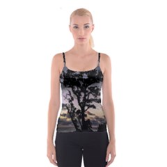 Sunset Coastal Park Landscape, Montevideo Uruguay Spaghetti Strap Top by dflcprintsclothing