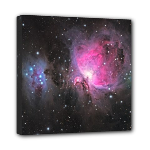 M42 Mini Canvas 8  X 8  (stretched)