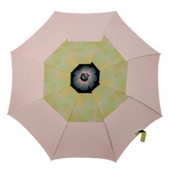 Janet 1 Hook Handle Umbrellas (large) by Janetaudreywilson