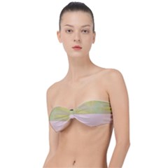 Janet 1 Classic Bandeau Bikini Top  by Janetaudreywilson