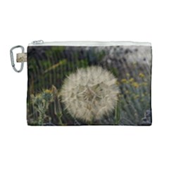 Light Ball Canvas Cosmetic Bag (large) by DimitriosArt