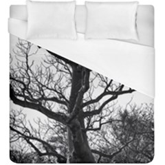 Shadows In The Sky Duvet Cover (king Size) by DimitriosArt