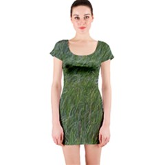 Green Carpet Short Sleeve Bodycon Dress by DimitriosArt