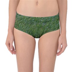 Green Carpet Mid-waist Bikini Bottoms by DimitriosArt