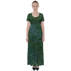 Green Carpet High Waist Short Sleeve Maxi Dress by DimitriosArt